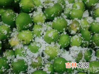 青梅如何腌得又甜又脆?