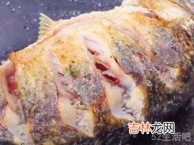 家常炖鱼怎么炖好吃?