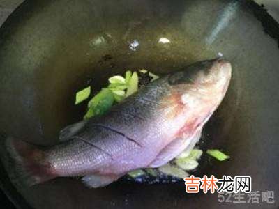 家常炖鱼怎么炖好吃?