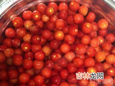 樱桃泡酒怎样制作方法?