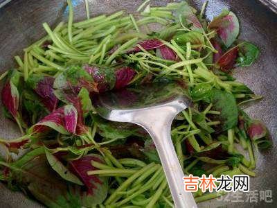 马苋菜怎么吃?