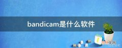 bandicam是什么软件?