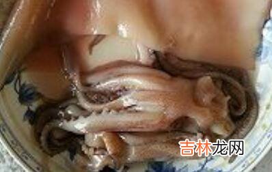 鱿鱼怎么做好吃