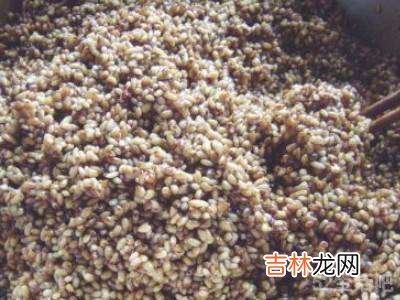 肉粽子的米怎么腌制窍门?