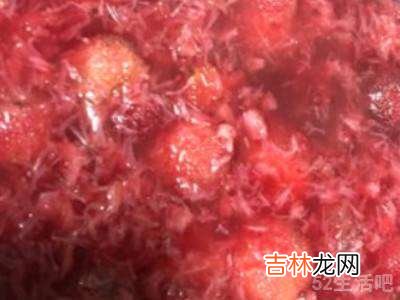杨梅汁怎么做简单方法?