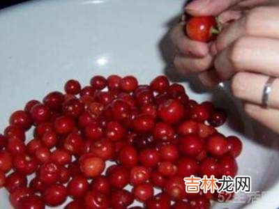 樱桃酒怎么泡制作方法?