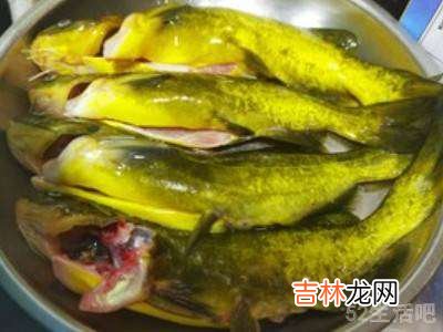 黄骨鱼怎么做好吃又简单?