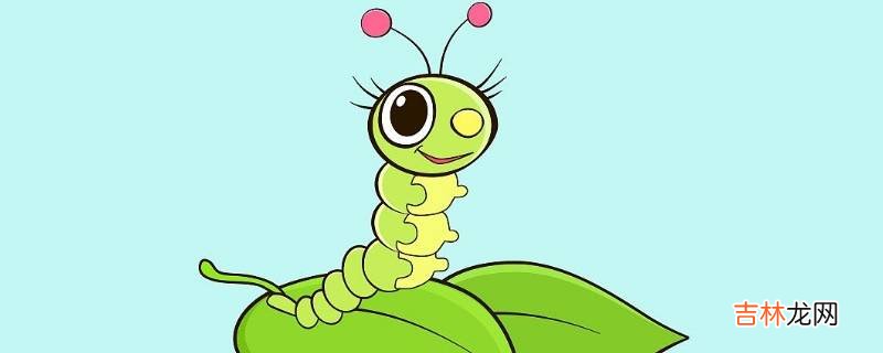 蚕宝宝可以晒太阳吗