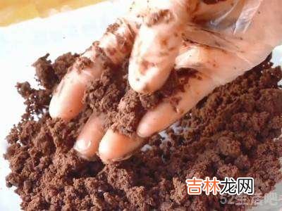 饼干怎么吃?