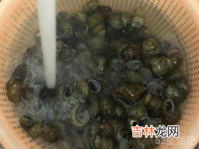 螺丝怎么吃?
