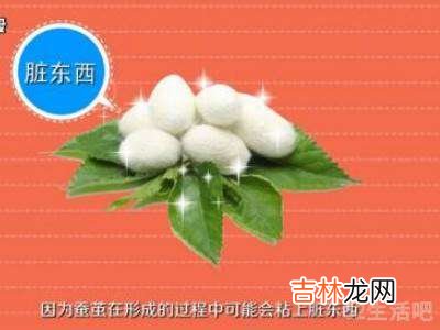 蚕茧怎么保存?