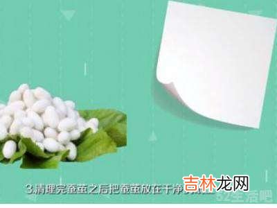 蚕茧怎么保存?