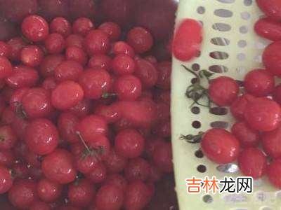 小番茄怎么洗?