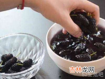 桑葚怎样清洗才干净?