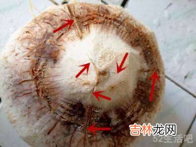 易开宝椰青怎么开?