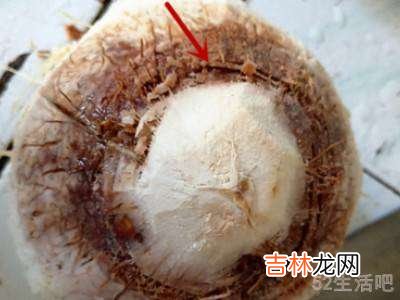 易开宝椰青怎么开?