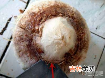 易开宝椰青怎么开?