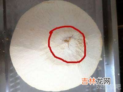 易开宝椰青怎么开?