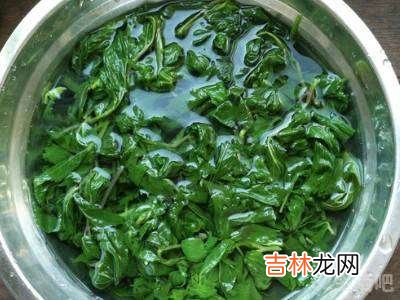 野菜怎么拌着吃?