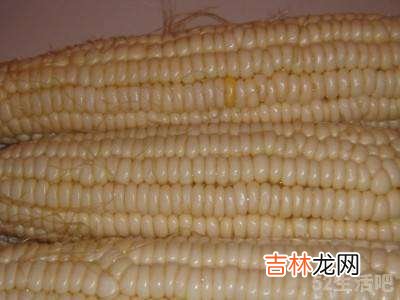 怎么蒸玉米?