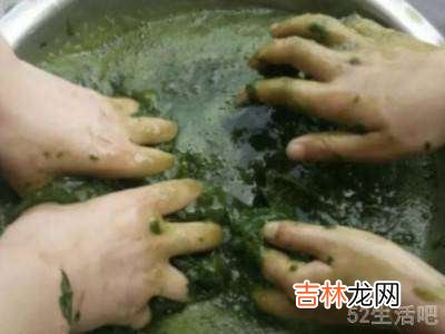 斑鸠叶豆腐制作方法?