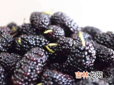 桑葚的清洗方法?