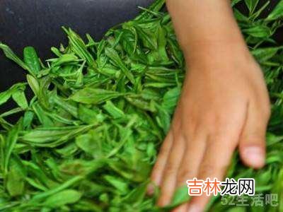 自己摘的茶叶怎么制作?