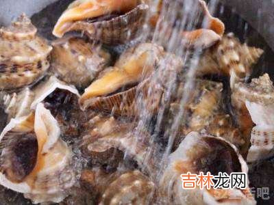 怎么煮海螺好吃?
