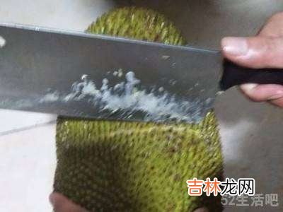 菠萝蜜的正确快速剥法?