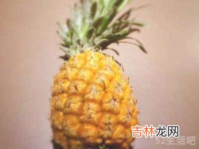 手撕凤梨怎么撕?
