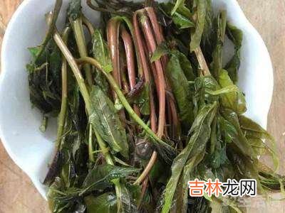 香椿芽怎么炸?