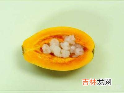 雪蛤油的做法?
