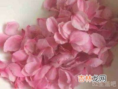 新鲜桃花怎么吃?