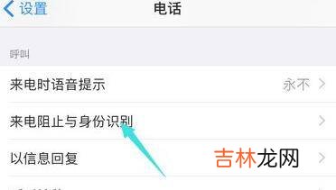 苹果手机来电阻止与身份识别在哪里?