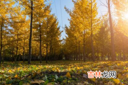 雯字属性五行 雯字取名男宝