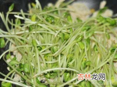 青豆苗怎么炒才好吃?