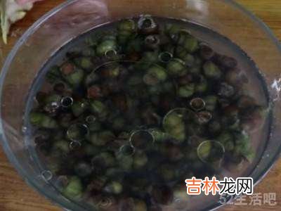 野生田螺怎么处理才能吃?