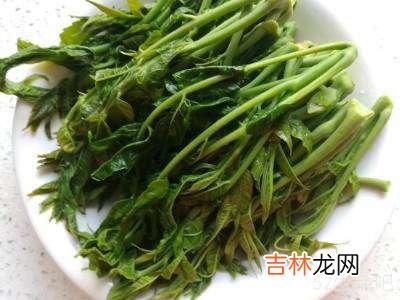 油香椿的做法详细步骤?