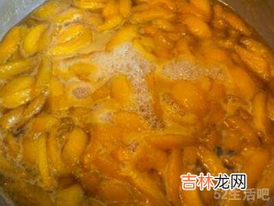 怎样做枇杷膏不变质?