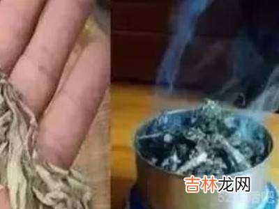 小蚊虫怎么去除?