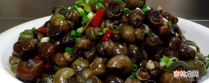 螺蛳怎么让它吐泥吐得快?