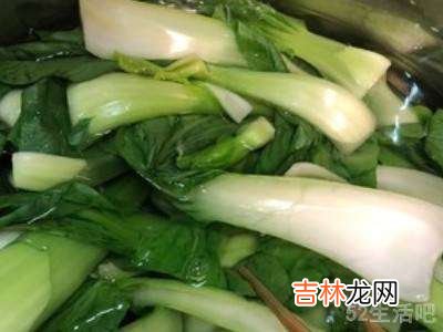 青菜包子馅的怎么做好吃?