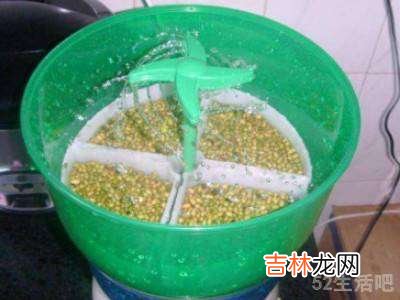 如何用豆芽机发豆芽?