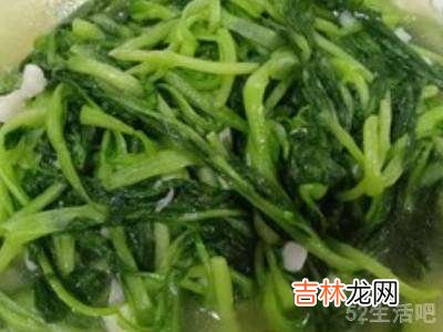 鸡毛菜怎么吃?