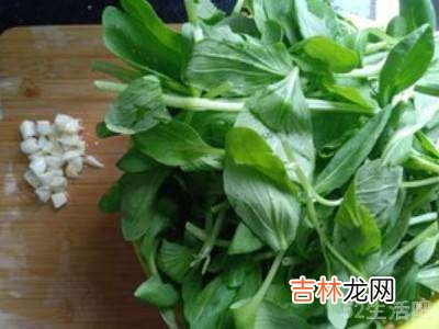 鸡毛菜怎么吃?