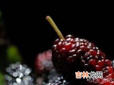桑果怎么洗?