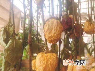 晒干花的做法?