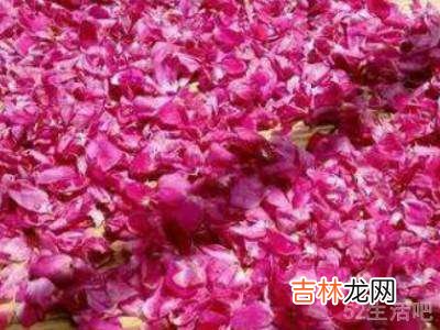 玫瑰花瓣怎么保存成干花瓣?