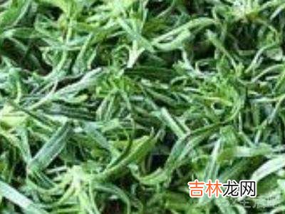 面条菜怎么蒸好吃又简单?