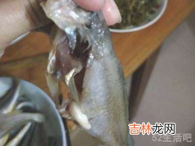 小黄鱼怎么清理?